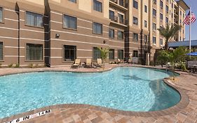 Staybridge Suites Orlando at SeaWorld